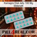 Kamagra Oral Jelly 100Mg Sildenafil 29
